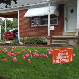 Flamingo Flocks Help Feather LCFC’s Nest